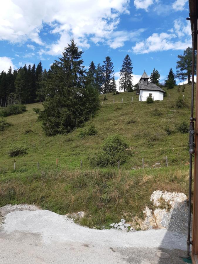 Sonnleit'N Zimmer 6 Abtenau Bagian luar foto
