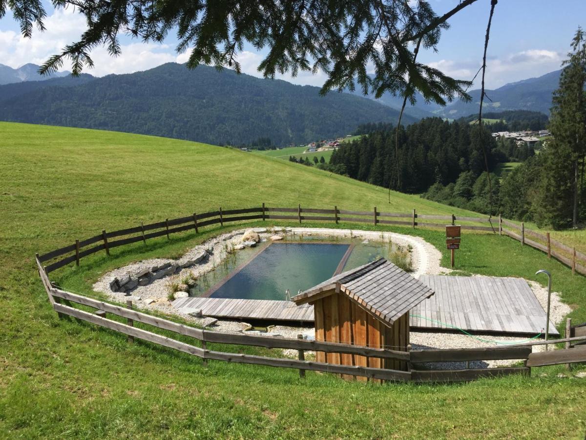 Sonnleit'N Zimmer 6 Abtenau Bagian luar foto
