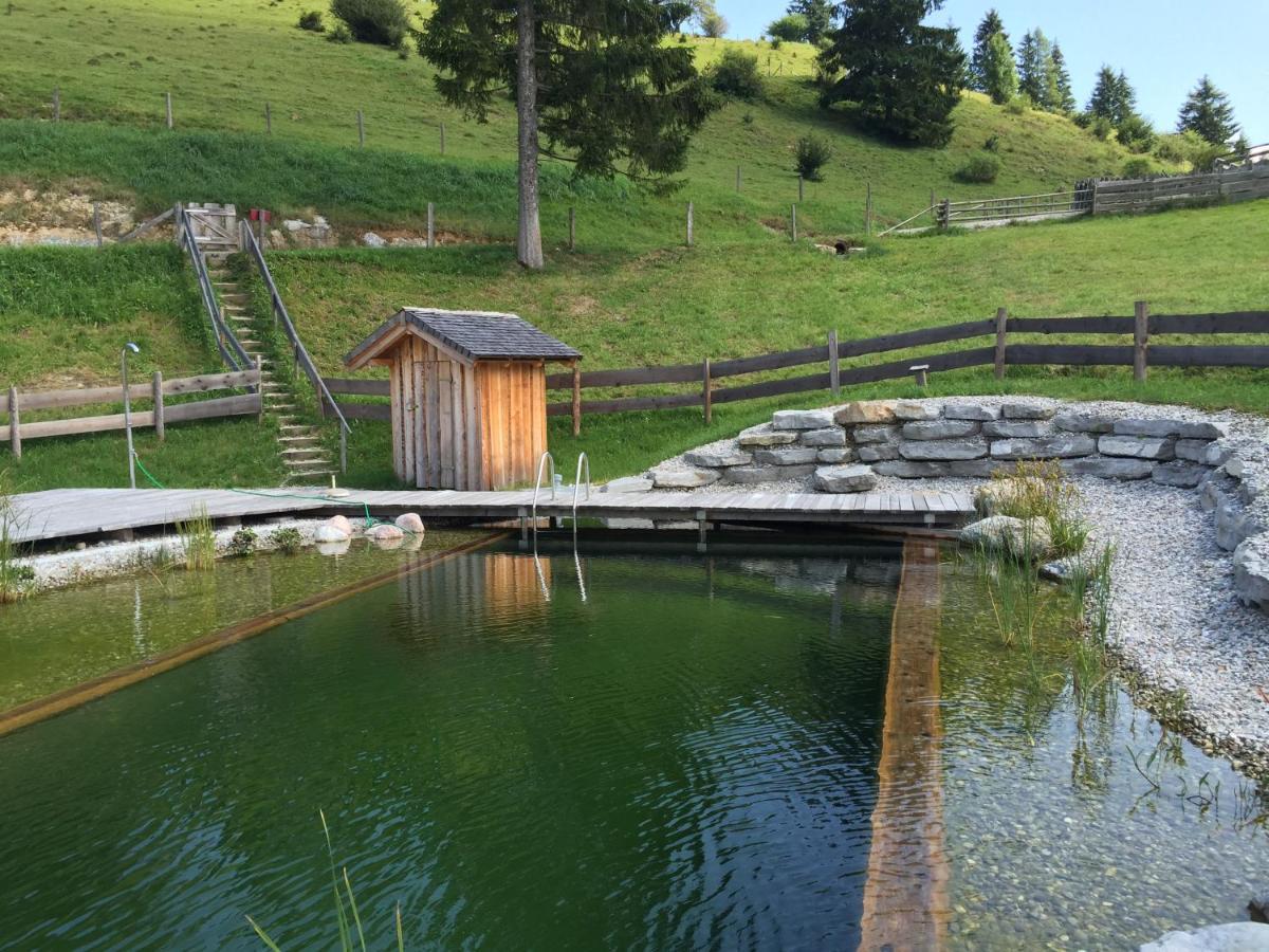 Sonnleit'N Zimmer 6 Abtenau Bagian luar foto